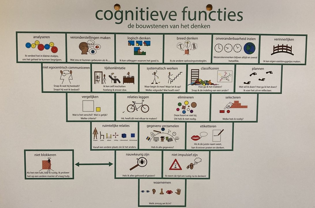 Stibco Cognitieve functies